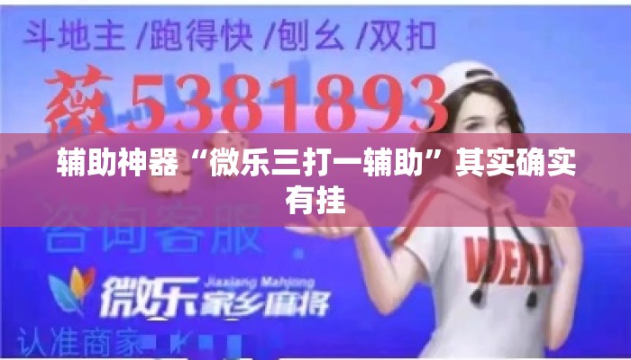 辅助神器“微乐三打一辅助	”其实确实有挂