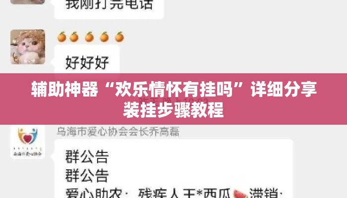 辅助神器“欢乐情怀有挂吗	”详细分享装挂步骤教程
