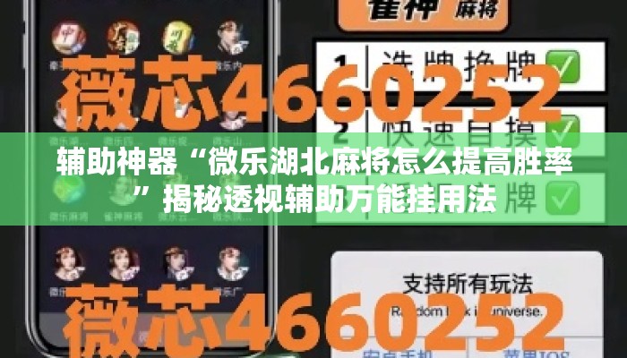 辅助神器“微乐湖北麻将怎么提高胜率”揭秘透视辅助万能挂用法