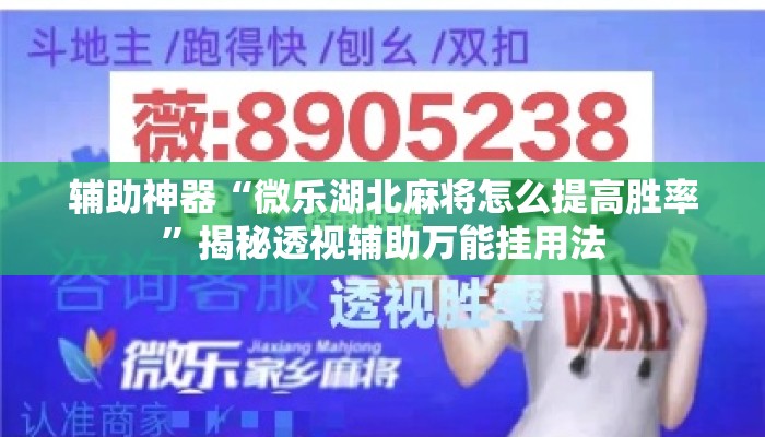 辅助神器“微乐湖北麻将怎么提高胜率”揭秘透视辅助万能挂用法