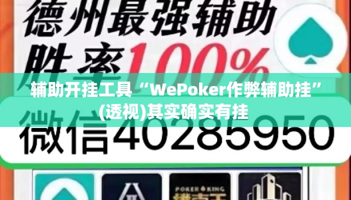 辅助开挂工具“WePoker作弊辅助挂	”(透视)其实确实有挂 
