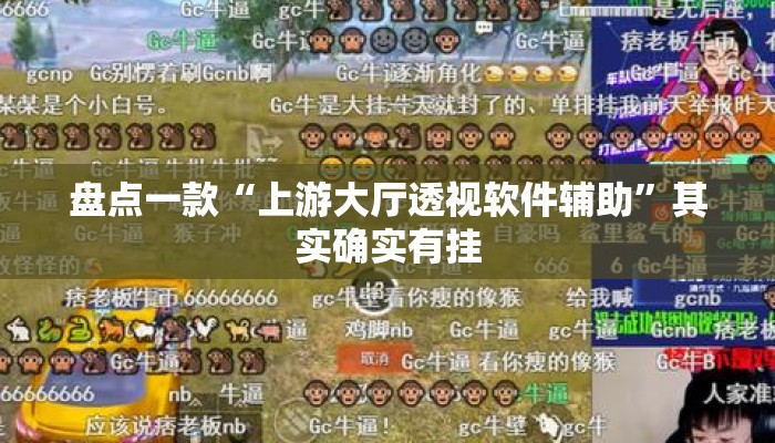 盘点一款“上游大厅透视软件辅助	”其实确实有挂