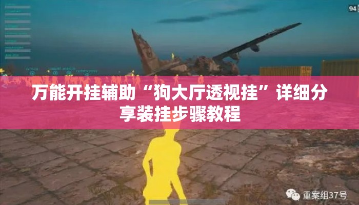 万能开挂辅助“狗大厅透视挂”详细分享装挂步骤教程