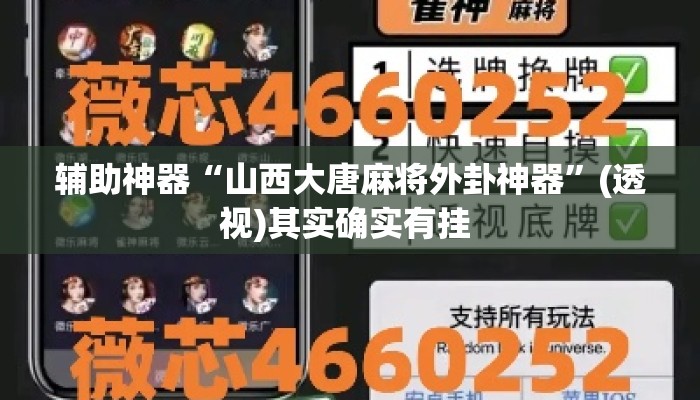 辅助神器“山西大唐麻将外卦神器	”(透视)其实确实有挂 