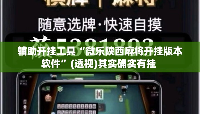 辅助开挂工具“微乐陕西麻将开挂版本软件”(透视)其实确实有挂 
