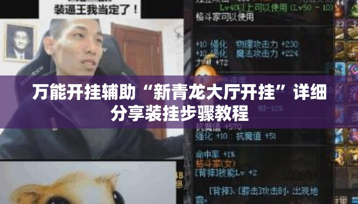 万能开挂辅助“新青龙大厅开挂	”详细分享装挂步骤教程