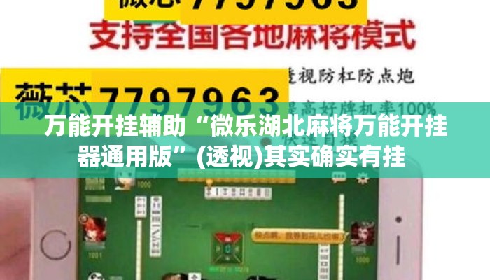 万能开挂辅助“微乐湖北麻将万能开挂器通用版	”(透视)其实确实有挂 
