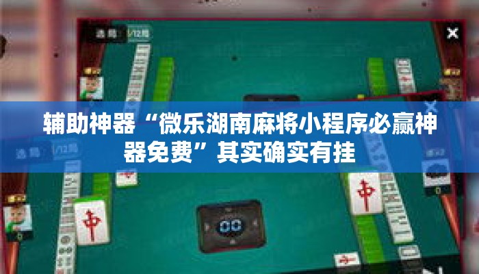 辅助神器“微乐湖南麻将小程序必赢神器免费”其实确实有挂