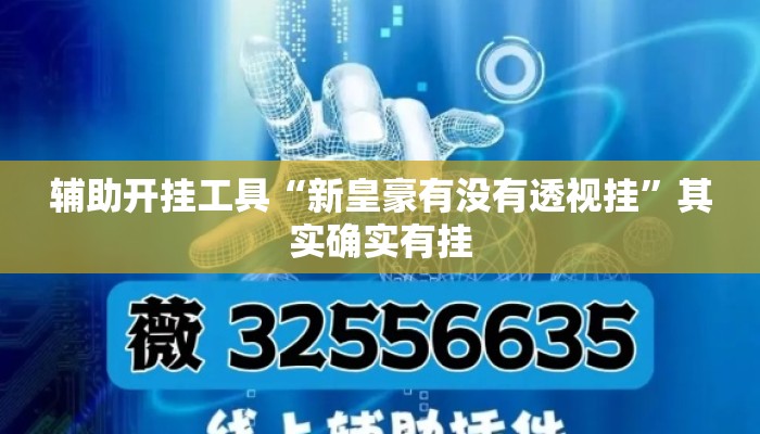 辅助开挂工具“新皇豪有没有透视挂	”其实确实有挂