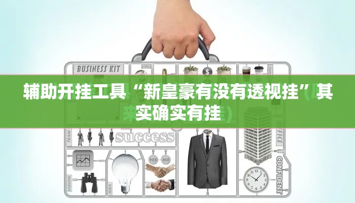 辅助开挂工具“新皇豪有没有透视挂”其实确实有挂