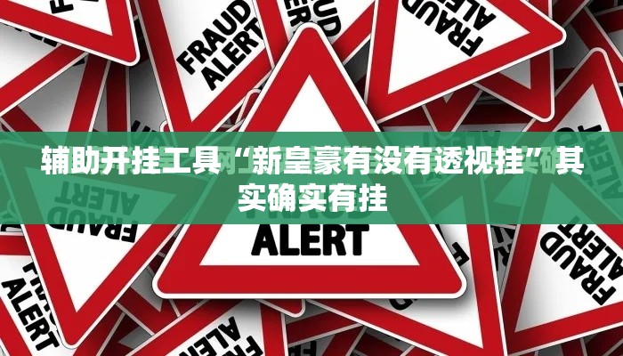 辅助开挂工具“新皇豪有没有透视挂”其实确实有挂