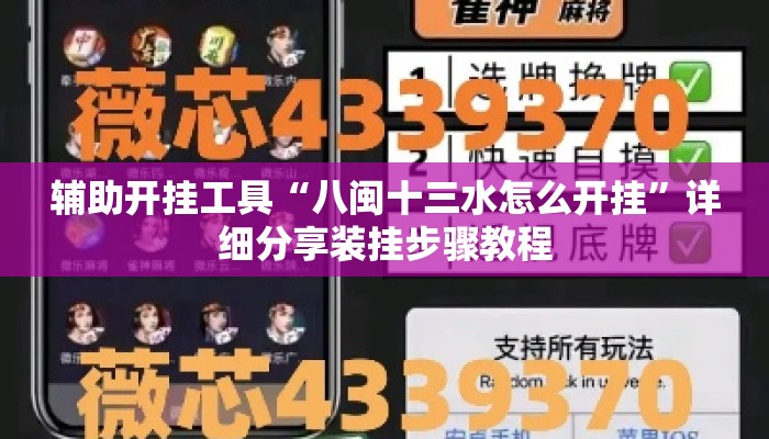 辅助开挂工具“八闽十三水怎么开挂	”详细分享装挂步骤教程