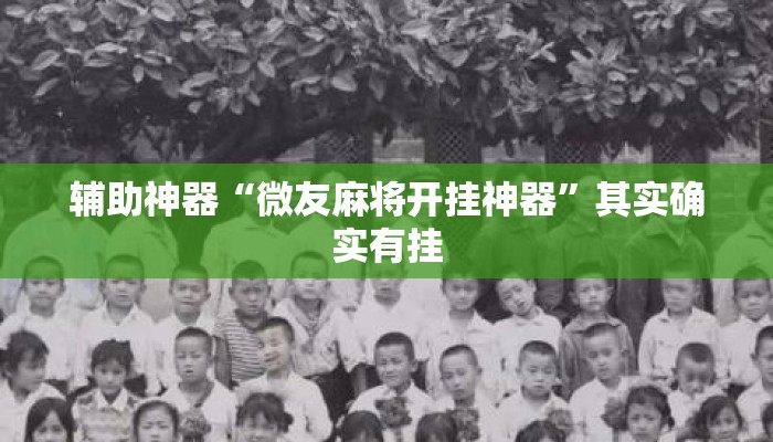 辅助神器“微友麻将开挂神器	”其实确实有挂
