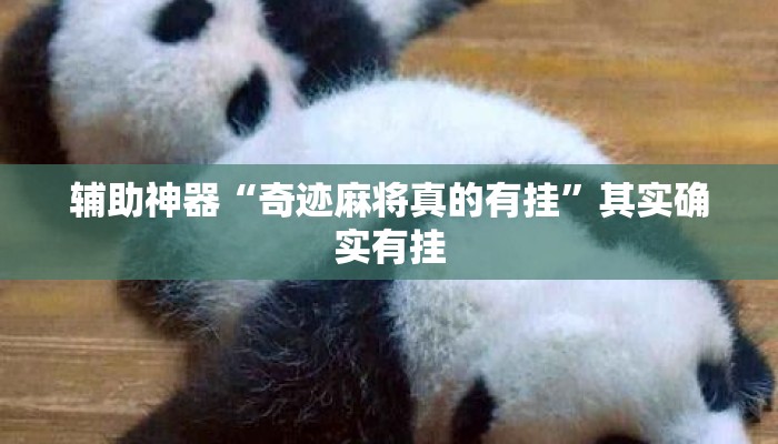 辅助神器“奇迹麻将真的有挂	”其实确实有挂