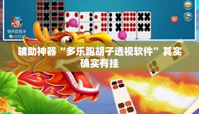 辅助神器“多乐跑胡子透视软件”其实确实有挂