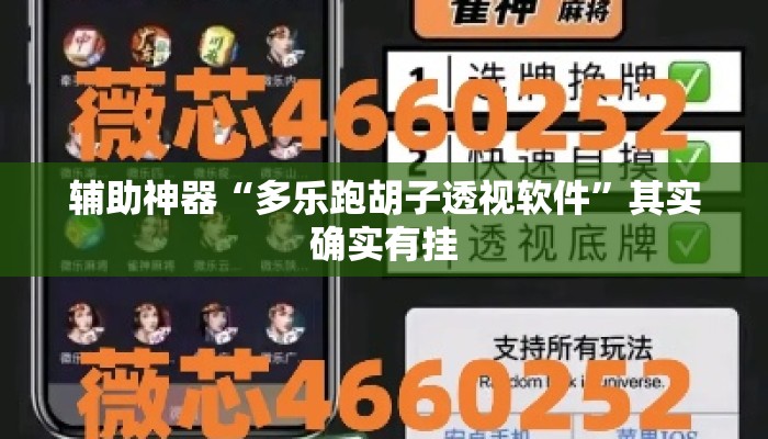 辅助神器“多乐跑胡子透视软件	”其实确实有挂