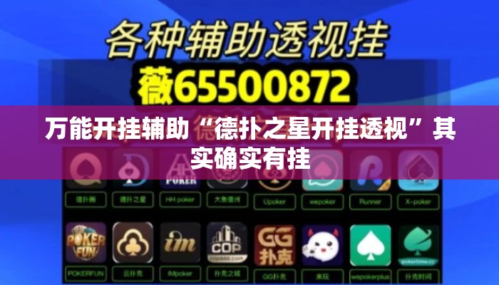 万能开挂辅助“德扑之星开挂透视”其实确实有挂