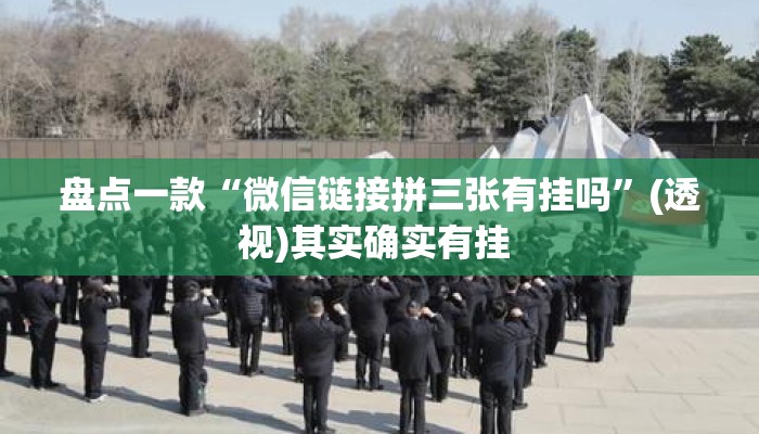 盘点一款“微信链接拼三张有挂吗”(透视)其实确实有挂 