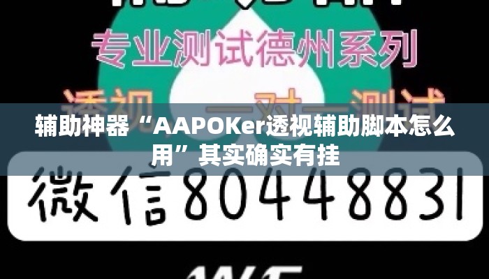 辅助神器“AAPOKer透视辅助脚本怎么用”其实确实有挂