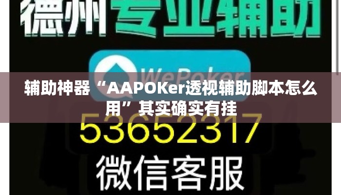 辅助神器“AAPOKer透视辅助脚本怎么用”其实确实有挂