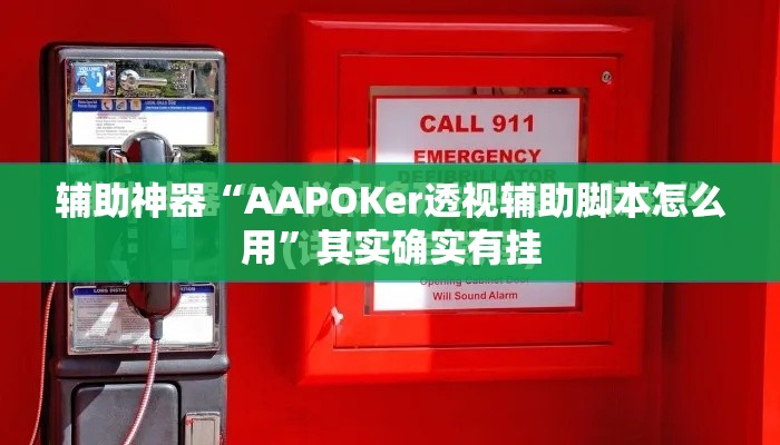 辅助神器“AAPOKer透视辅助脚本怎么用”其实确实有挂