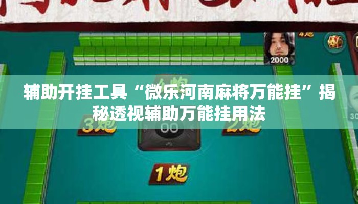 辅助开挂工具“微乐河南麻将万能挂”揭秘透视辅助万能挂用法