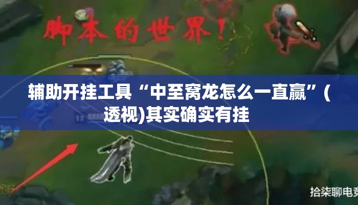 辅助开挂工具“中至窝龙怎么一直赢	”(透视)其实确实有挂 