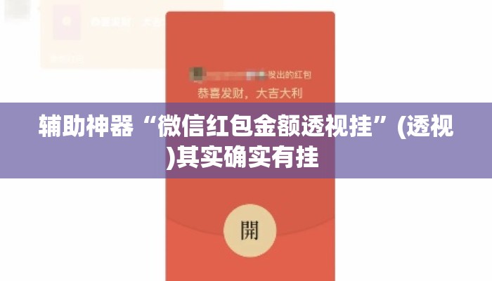 辅助神器“微信红包金额透视挂	”(透视)其实确实有挂 