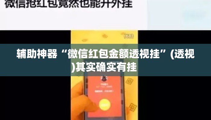 辅助神器“微信红包金额透视挂”(透视)其实确实有挂 