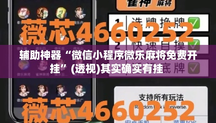辅助神器“微信小程序微乐麻将免费开挂	”(透视)其实确实有挂 