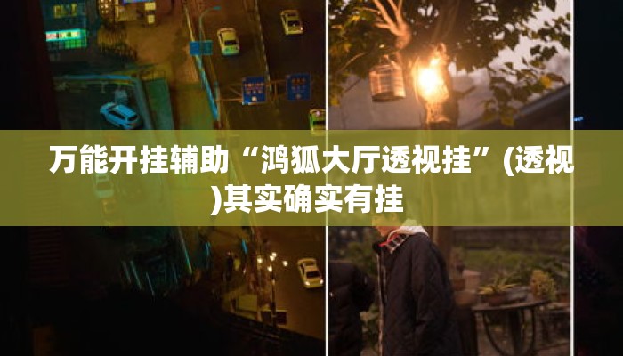 万能开挂辅助“鸿狐大厅透视挂”(透视)其实确实有挂 