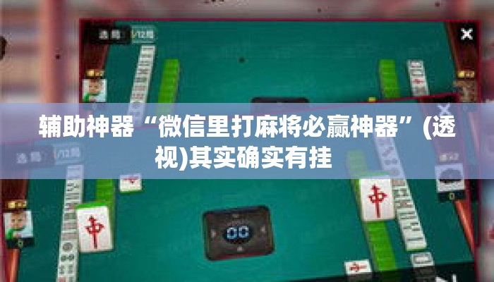 辅助神器“微信里打麻将必赢神器”(透视)其实确实有挂 