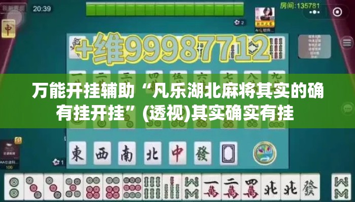 万能开挂辅助“凡乐湖北麻将其实的确有挂开挂”(透视)其实确实有挂 