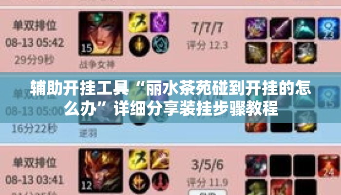 辅助开挂工具“丽水茶苑碰到开挂的怎么办”详细分享装挂步骤教程