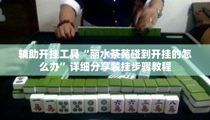 辅助开挂工具“丽水茶苑碰到开挂的怎么办”详细分享装挂步骤教程