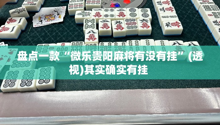 盘点一款“微乐贵阳麻将有没有挂	”(透视)其实确实有挂 