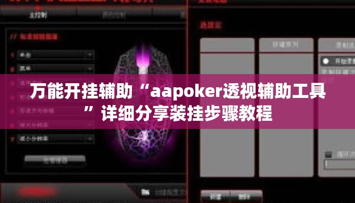 万能开挂辅助“aapoker透视辅助工具”详细分享装挂步骤教程