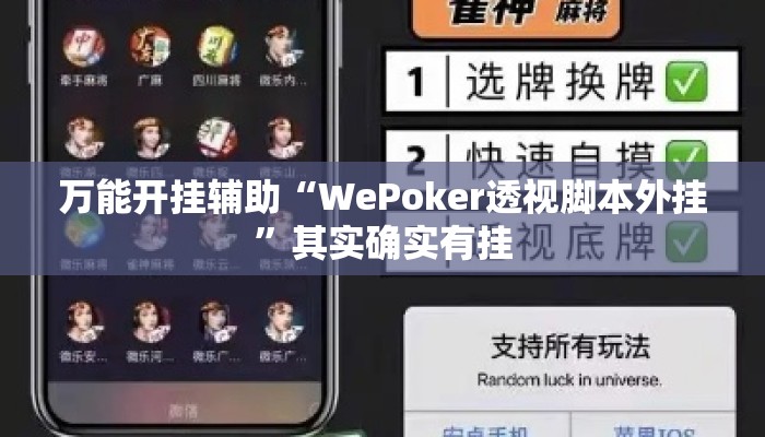 万能开挂辅助“WePoker透视脚本外挂	”其实确实有挂