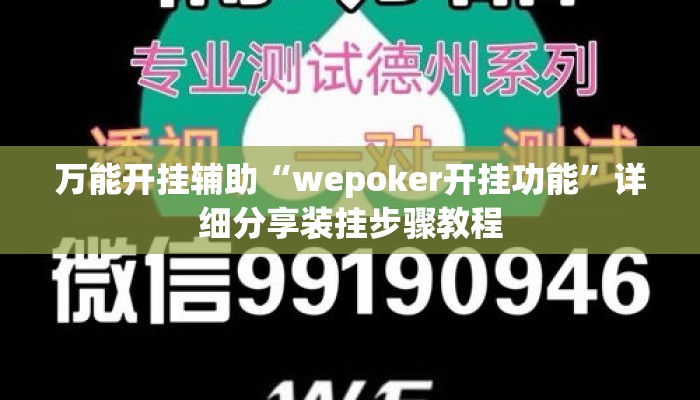 万能开挂辅助“wepoker开挂功能”详细分享装挂步骤教程