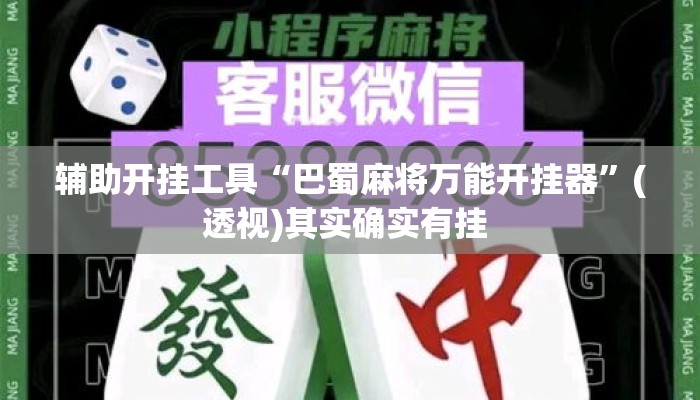 辅助开挂工具“巴蜀麻将万能开挂器”(透视)其实确实有挂 