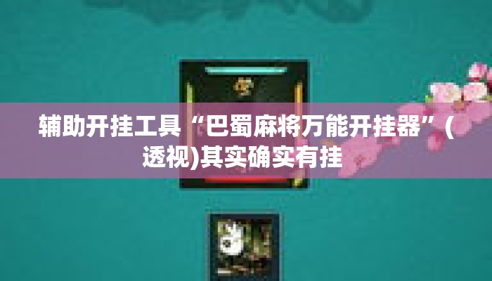 辅助开挂工具“巴蜀麻将万能开挂器	”(透视)其实确实有挂 
