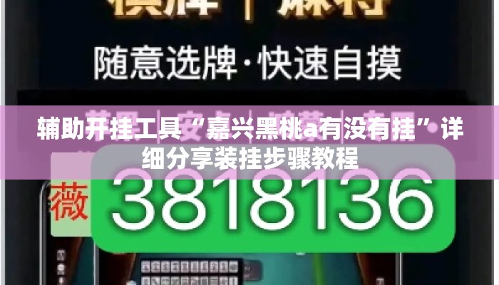 辅助开挂工具“嘉兴黑桃a有没有挂	”详细分享装挂步骤教程