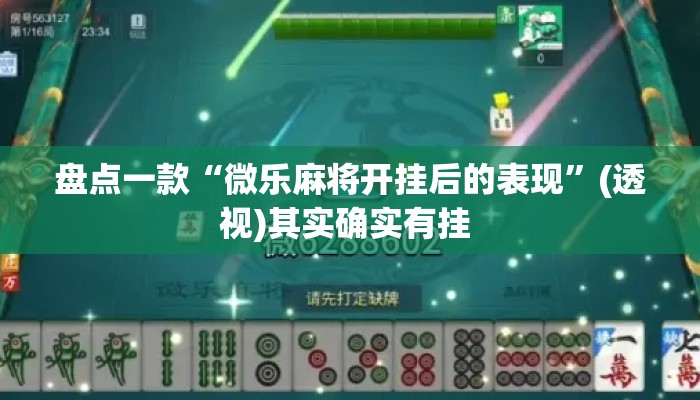 盘点一款“微乐麻将开挂后的表现”(透视)其实确实有挂 