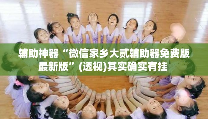 辅助神器“微信家乡大贰辅助器免费版最新版”(透视)其实确实有挂 
