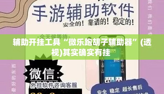 辅助开挂工具“微乐跑胡子辅助器”(透视)其实确实有挂 