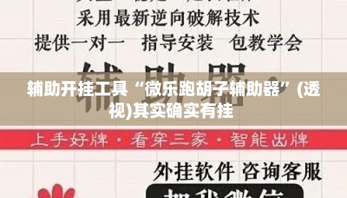 辅助开挂工具“微乐跑胡子辅助器	”(透视)其实确实有挂 