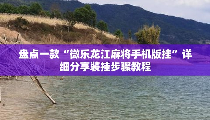 盘点一款“微乐龙江麻将手机版挂”详细分享装挂步骤教程