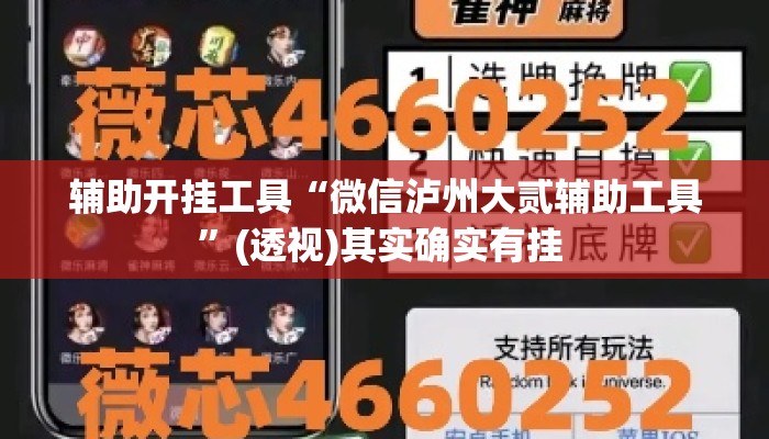 辅助开挂工具“微信泸州大贰辅助工具	”(透视)其实确实有挂 