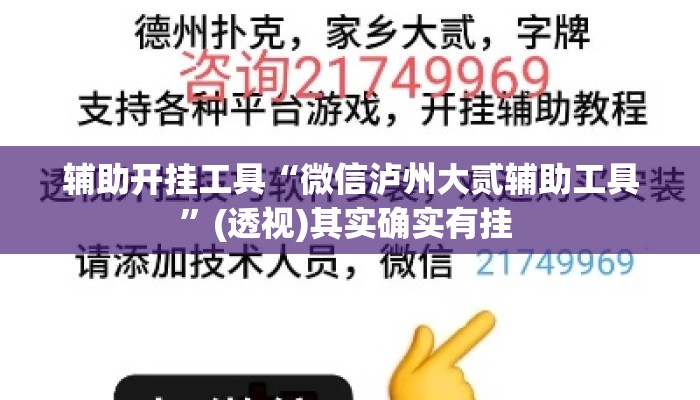 辅助开挂工具“微信泸州大贰辅助工具”(透视)其实确实有挂 