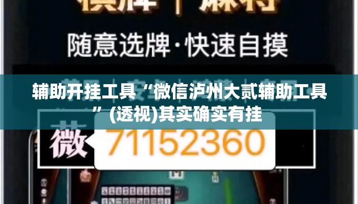 辅助开挂工具“微信泸州大贰辅助工具”(透视)其实确实有挂 